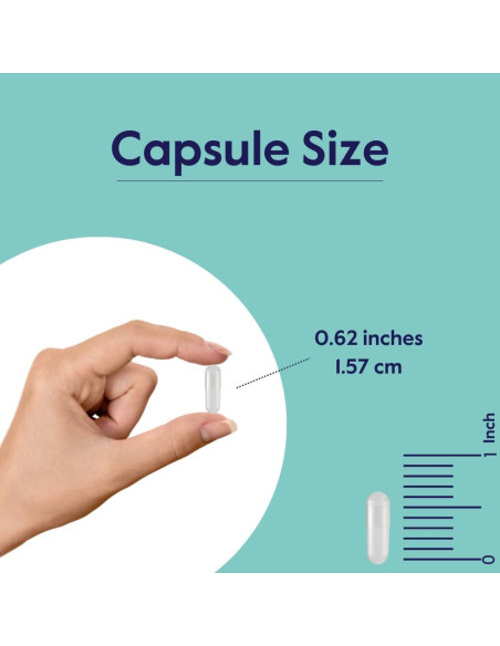 Suplemento PQQ 20mg Bestvite - 120 Cápsulas Veganas