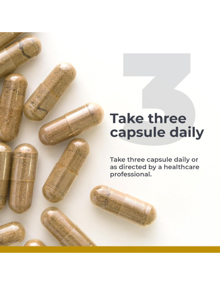 Suplemento de Pérdida de Peso Premier Research Labs 90 Cápsulas