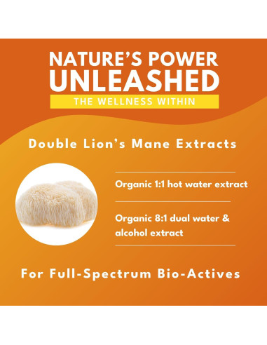 Cápsulas Veganas Hongo Melena de León Bold Botanica 60 Unidades