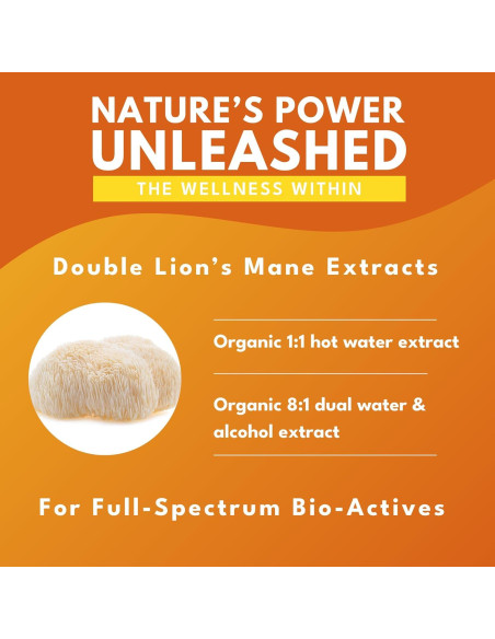 Cápsulas Veganas Hongo Melena de León Bold Botanica 60 Unidades