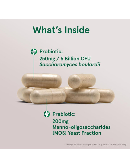 Suplemento Probiótico Jarrow Formulas Saccharomyces 90 Cápsulas