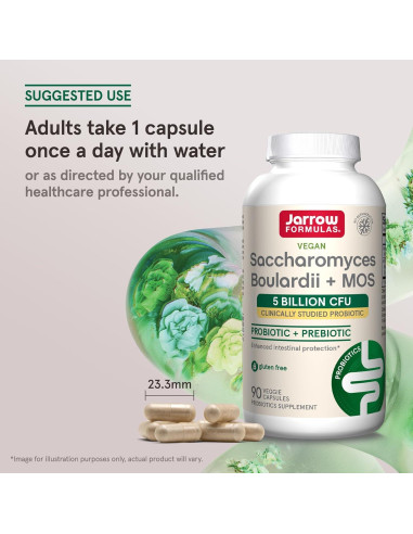 Suplemento Probiótico Jarrow Formulas Saccharomyces 90 Cápsulas