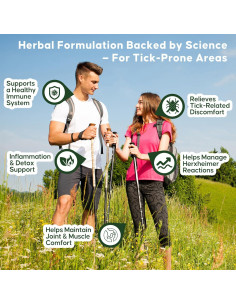 Suplemento Inmunológico Herbal Yakucho 90 Cápsulas Veganas 2