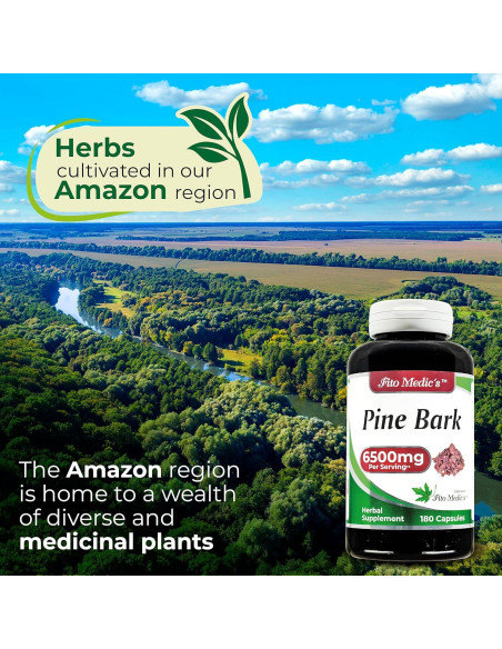 Suplemento Dietético Fito Medic's Extracto de Corteza de Pino 180 Cápsulas