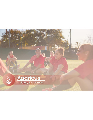 Cápsulas de Agaricus 100% Puras Ingredientes Originales 100 Unidades