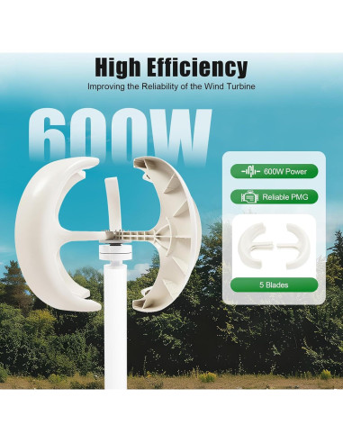 Generador de Turbina Eólica PIAOCAIYIN 12V 600W 5 Aspas