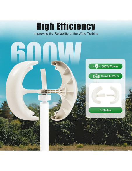 Generador de Turbina Eólica PIAOCAIYIN 12V 600W 5 Aspas