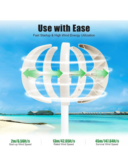 Generador de Turbina Eólica PIAOCAIYIN 12V 600W 5 Aspas
