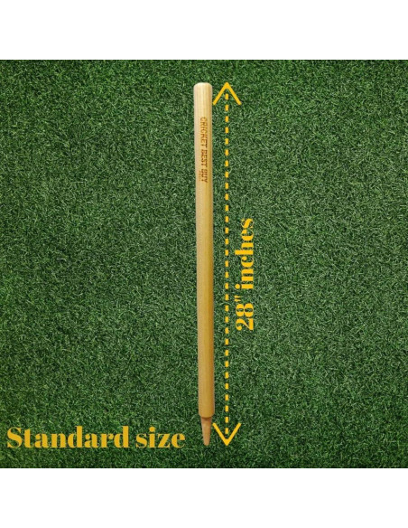 Estacas de Cricket Bratla - Juego de 3 con 2 Bails 71 cm
