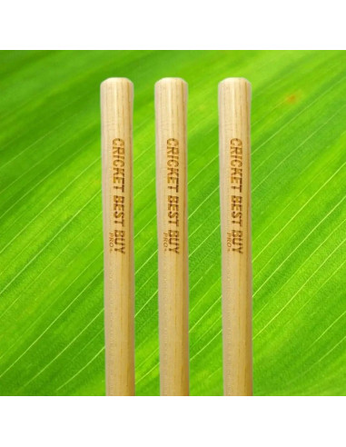 Estacas de Cricket Bratla - Juego de 3 con 2 Bails 71 cm