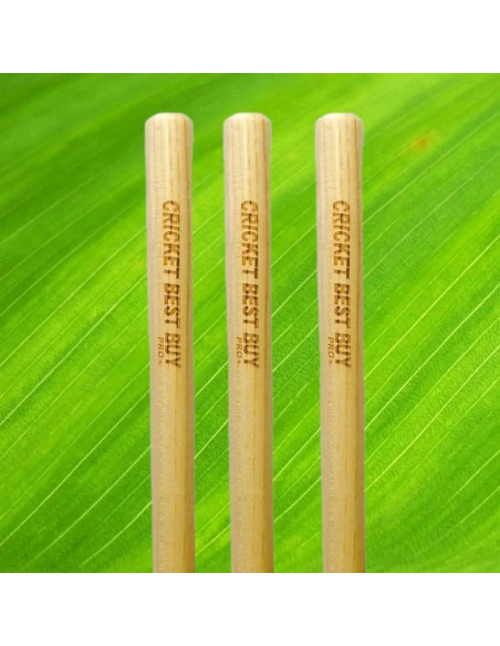 Estacas de Cricket Bratla - Juego de 3 con 2 Bails 71 cm