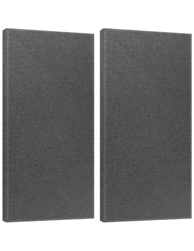 2 Paneles Acústicos Absorbentes de Sonido 119.4x58.4cm Gris