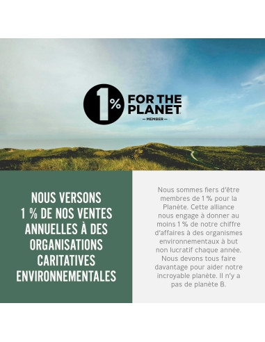 Taza de Viaje Aislada BLACK+BLUM 340ml Acero Inoxidable Pizarra