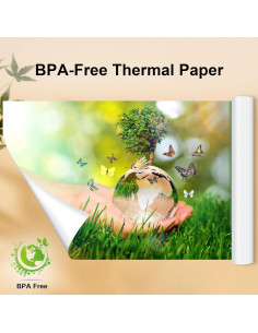 4 Rollos Papel Térmico 21.6x27.9cm Phomemo M832 Compatible 2