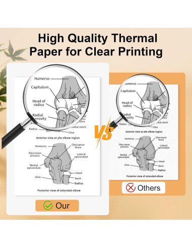 4 Rollos Papel Térmico 21.6x27.9cm Phomemo M832 Compatible