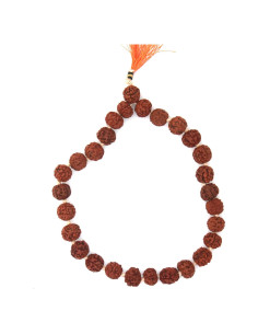 Mala Sumarni Rudraksha 8mm 27+1 Cuentas para Meditación
