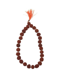 Mala Sumarni Rudraksha 8mm 27+1 Cuentas para Meditación 2
