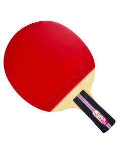 Paleta de Tenis de Mesa Butterfly B302CS Penhold China - Principiantes