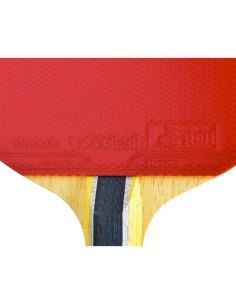 Set de Palas de Ping Pong Butterfly B603FL con Funda 2