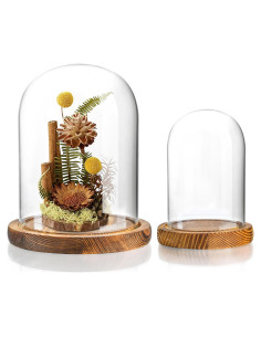 Campana de Vidrio con Base de Madera ZEERSHEE 2 Piezas 9.9x13cm 14.5x17cm
