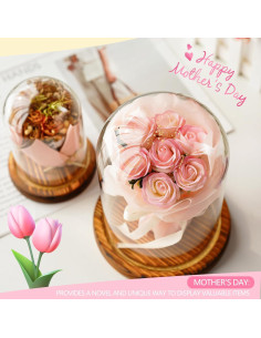 Campana de Vidrio con Base de Madera ZEERSHEE 2 Piezas 9.9x13cm 14.5x17cm 2