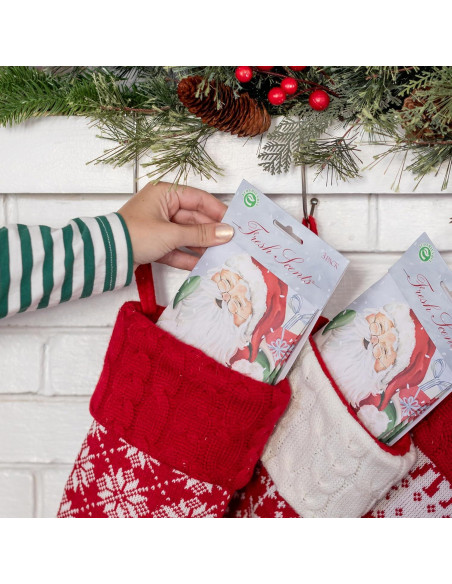 Sachets Aromatizados Willowbrook Jolly Christmas - 3 Unidades