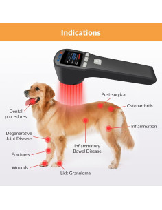 Terapia Láser Frío ZJKC para Mascotas 4x808nm 16x650nm 2