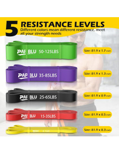 Bandas de Resistencia PAPIBLU PAB-001, 5 Niveles 3.6-56.7 kg 2