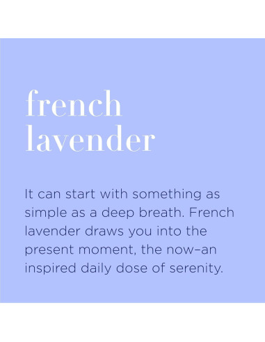 Spray Desinfectante de Manos Orgánico EO Lavanda 6x60ml