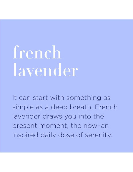 Spray Desinfectante de Manos Orgánico EO Lavanda 6x60ml