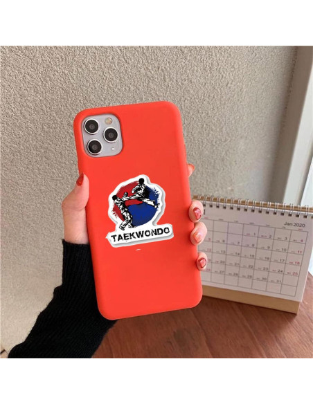 Calcomanías de Taekwondo NADUSEP - 50 Pcs Coloridas