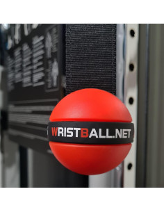 WristBall ARM SPORT - Entrenador de Muñeca y Antebrazo 65mm 2