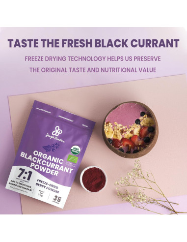 Paquete de Polvo de Grosella Negra y Arándano Silvestre Jungle Powders 142g