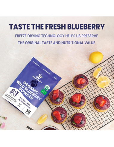 Paquete de Polvo de Grosella Negra y Arándano Silvestre Jungle Powders 142g