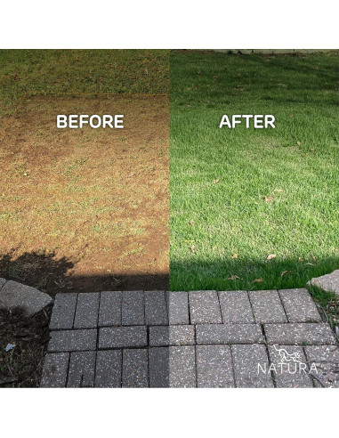 Césped Artificial Natura PowerRun 0.91x7.62m para Perros