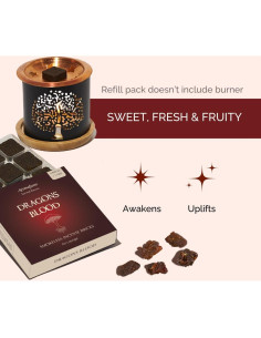 Bloques de Incienso Aromafume Sangre de Dragón - 27 Piezas 2