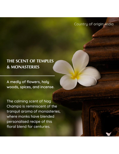 Bloques de Incienso Nag Champa Aromafume + Quemador Árbol de la Vida