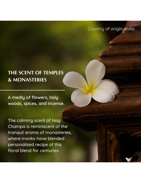 Bloques de Incienso Nag Champa Aromafume + Quemador Árbol de la Vida