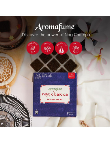 Bloques de Incienso Nag Champa Aromafume + Quemador Árbol de la Vida