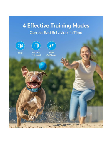 Collar de Choque para Perros Jugbow - E-Collar Impermeable IPX8