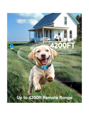 Collar de Choque para Perros Jugbow - E-Collar Impermeable IPX8