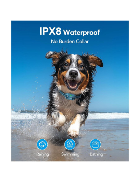 Collar de Choque para Perros Jugbow - E-Collar Impermeable IPX8
