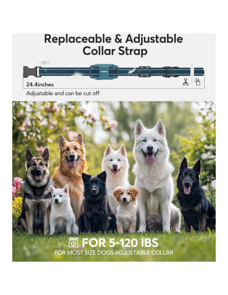 Collar de Choque para Perros Jugbow - E-Collar Impermeable IPX8