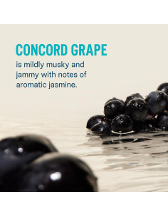 Liquid I.V. Hidratación Multiplicador Uva Concordia - 48 Porciones 2