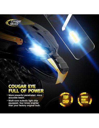 Bombillas de Luz de Niebla Cougar Motor 9005 H11 - Paquete de 4