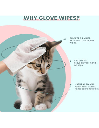 100 Toallitas para Mascotas IMMHABI con Guantes Hipoalergénicas