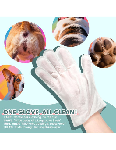 100 Toallitas para Mascotas IMMHABI con Guantes Hipoalergénicas
