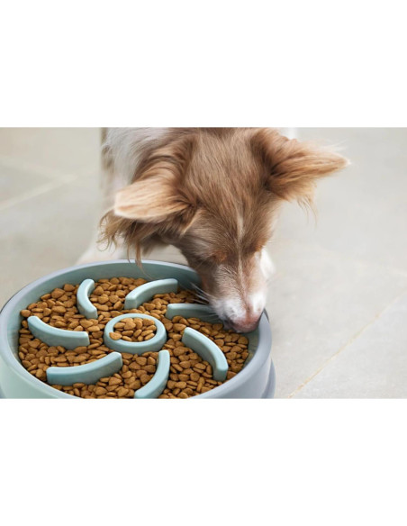 Tazón de Comida para Perros PetBox Azul con Alimentación Lenta