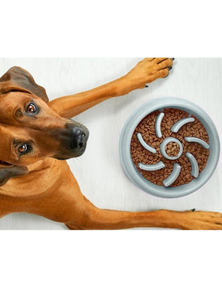 Tazón de Comida para Perros PetBox Azul con Alimentación Lenta