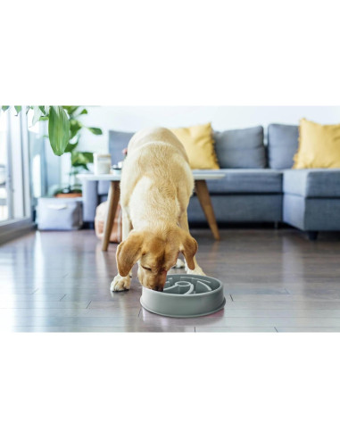 Tazón de Comida para Perros PetBox Azul con Alimentación Lenta